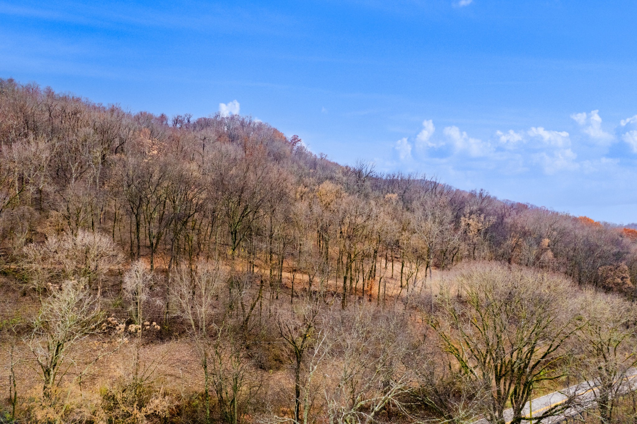 0 Fort Blount Road Dixon Springs, TN 37057 - Photo 10 of 37 a view of mountain view with mountains in the background