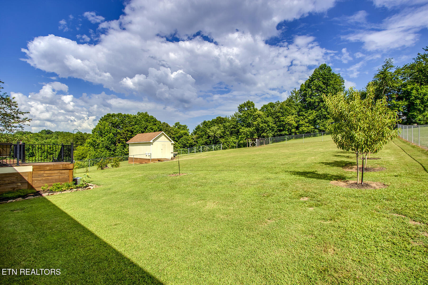 512 Caney Creek Road Harriman, TN 37748 - Photo 49 of 60 49_CaneyCreekRoad_512_FencedBackyard