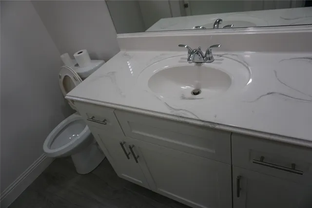 a bathroom with a sink and a toilet