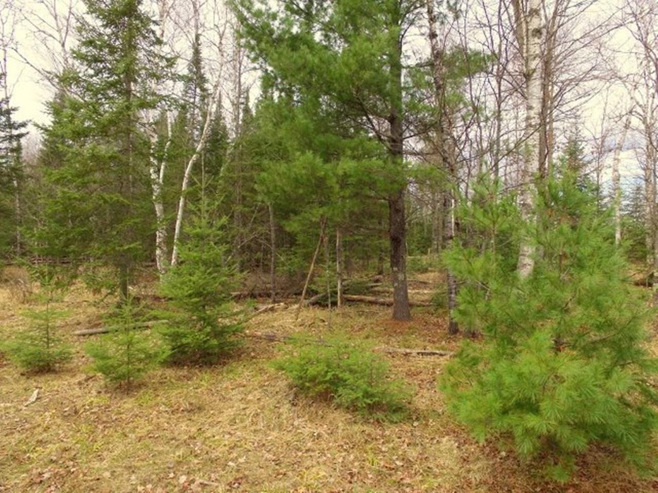 1-3 Kudo Road Mercer, WI 54547 - Photo 26 of 26 Gallery Image 26