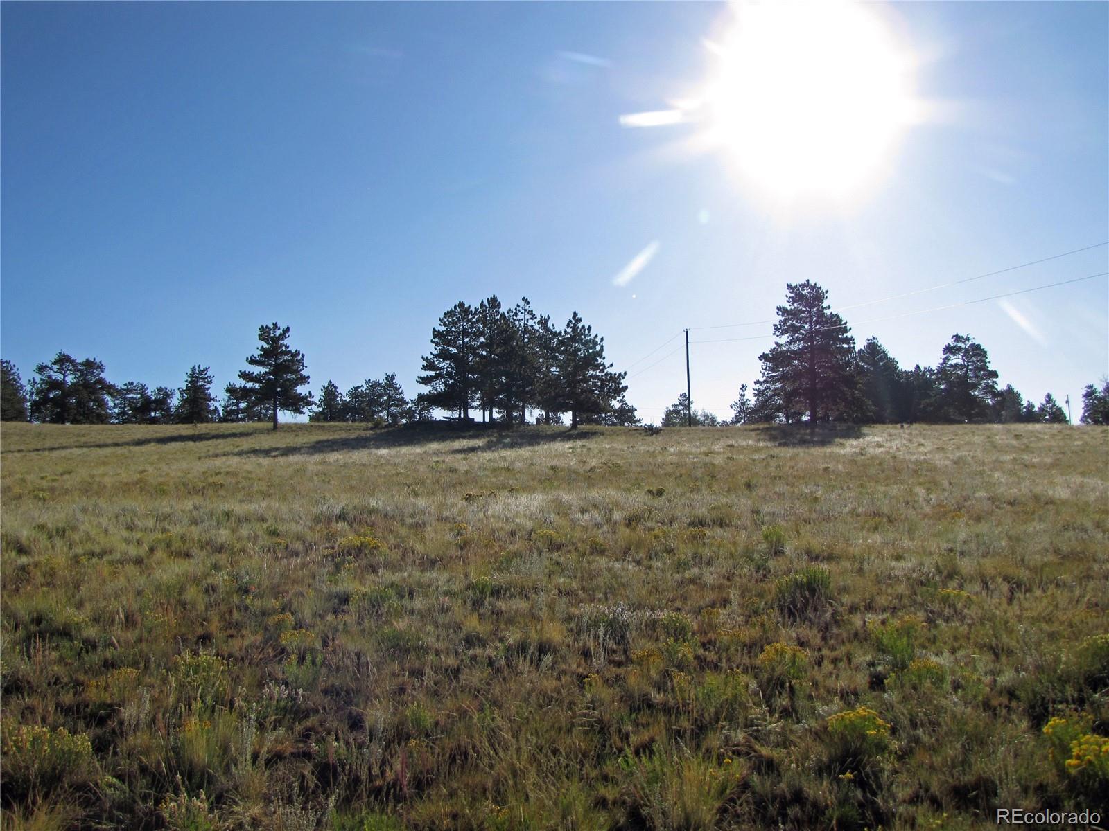2821 Singletree Road Hartsel, CO 80449 - Photo 1 of 12