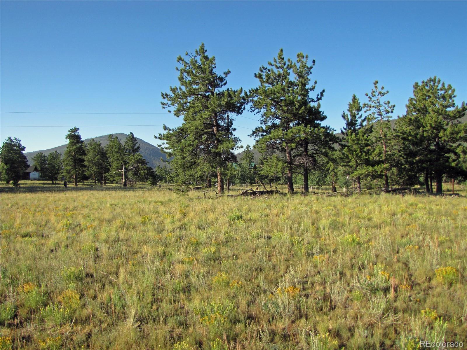 2821 Singletree Road Hartsel, CO 80449 - Photo 3 of 12