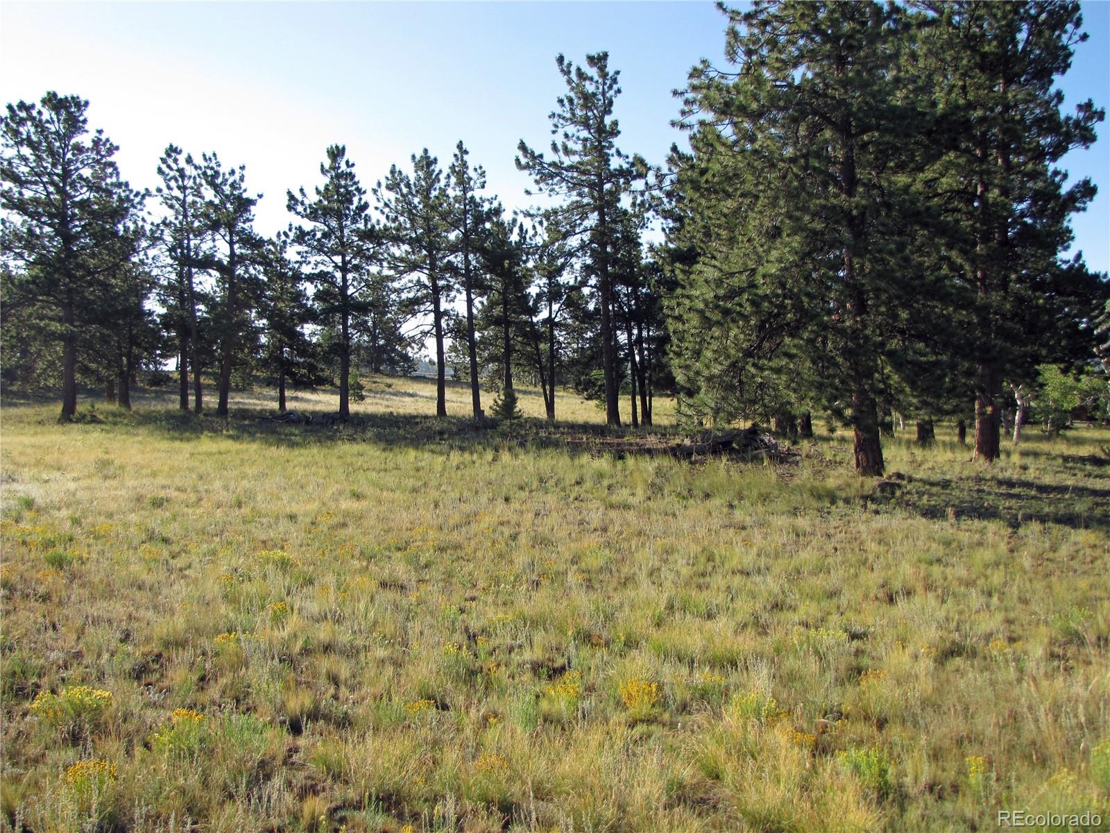 2821 Singletree Road Hartsel, CO 80449 - Photo 5 of 12