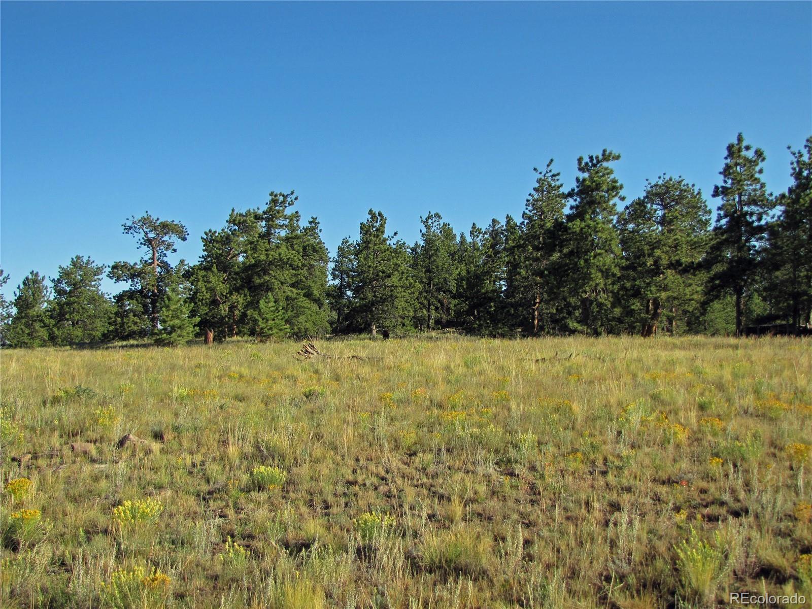 2821 Singletree Road Hartsel, CO 80449 - Photo 8 of 12
