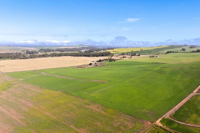 $235,000 | 15275 South Andrus Road, Unit LOT #1, Cheney, WA 99004