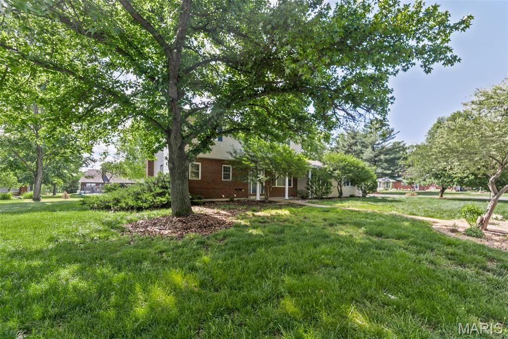 1034 Raymond Drive Red Bud, IL 62278 - Photo 10 of 63