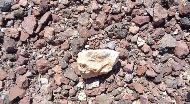 1 Rocky View Road Daggett, CA 92327 - Photo 12 of 13 a view of a lot of flowers