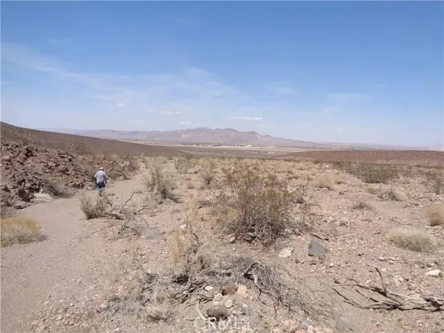 a view of a dry yard with trees in the background