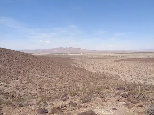 a view of a lot of flowers