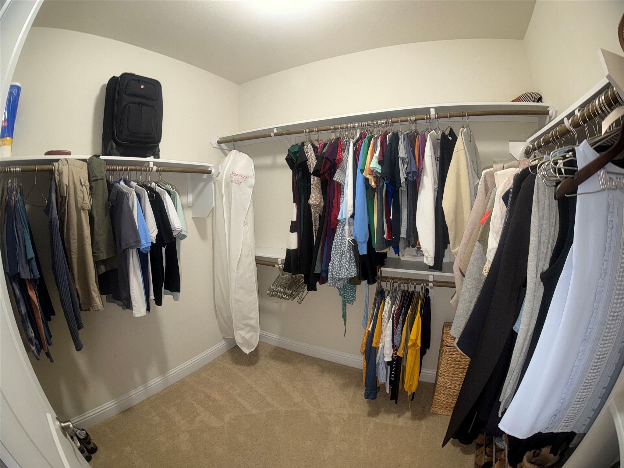 8709 Moccasin Path Austin, TX 78736 - Photo 19 of 34 Walk in closet with light carpet