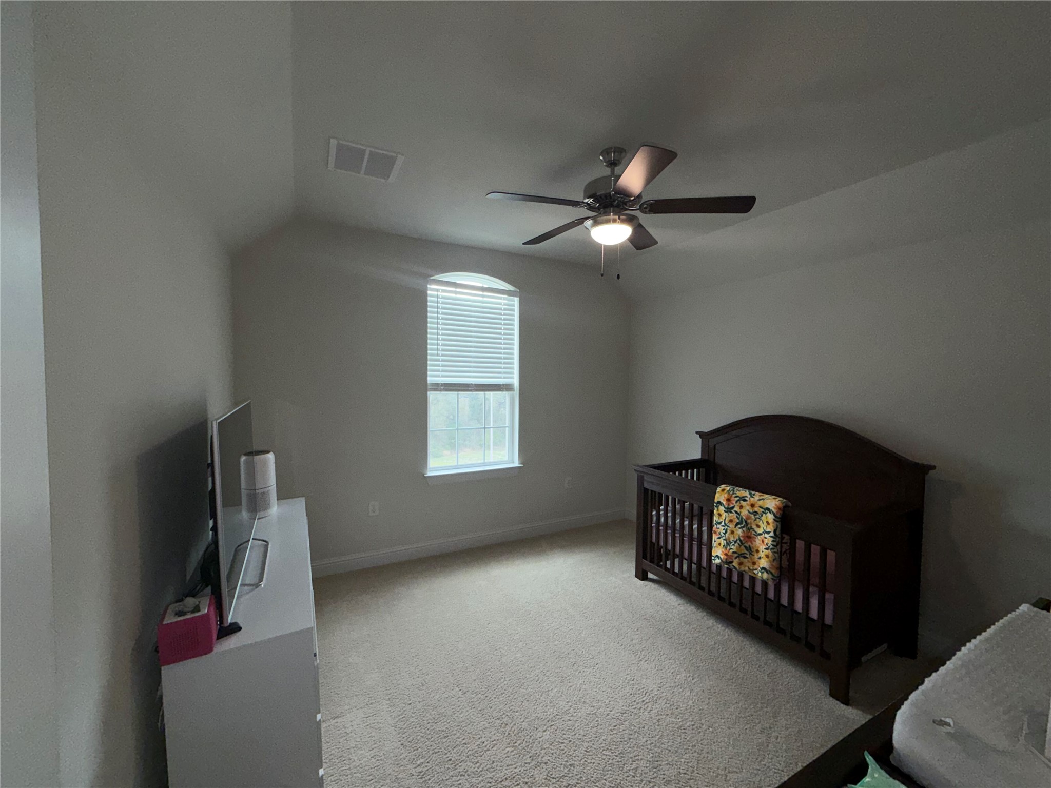 8709 Moccasin Path Austin, TX 78736 - Photo 21 of 34 Bedroom with light colored carpet, a nursery area, lofted ceiling, and a ceiling fan