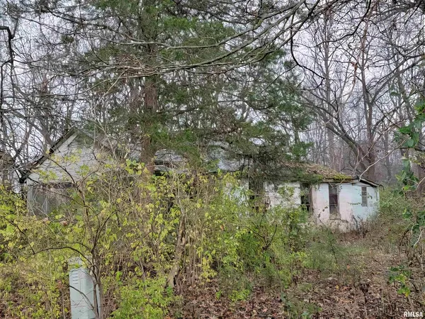 $12,500 | 947 East Cole Street, Du Quoin, IL 62832