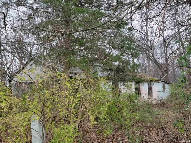 $12,500 | 947 East Cole Street, Du Quoin, IL 62832