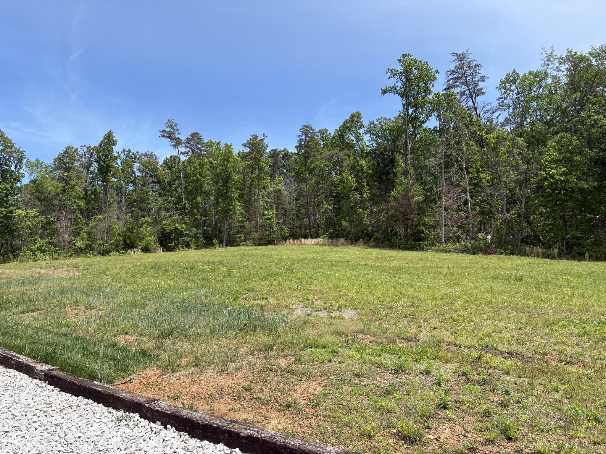 1102 Ranchside Drive Rock Island, TN 38581 - Photo 7 of 27 a view of a yard with an trees