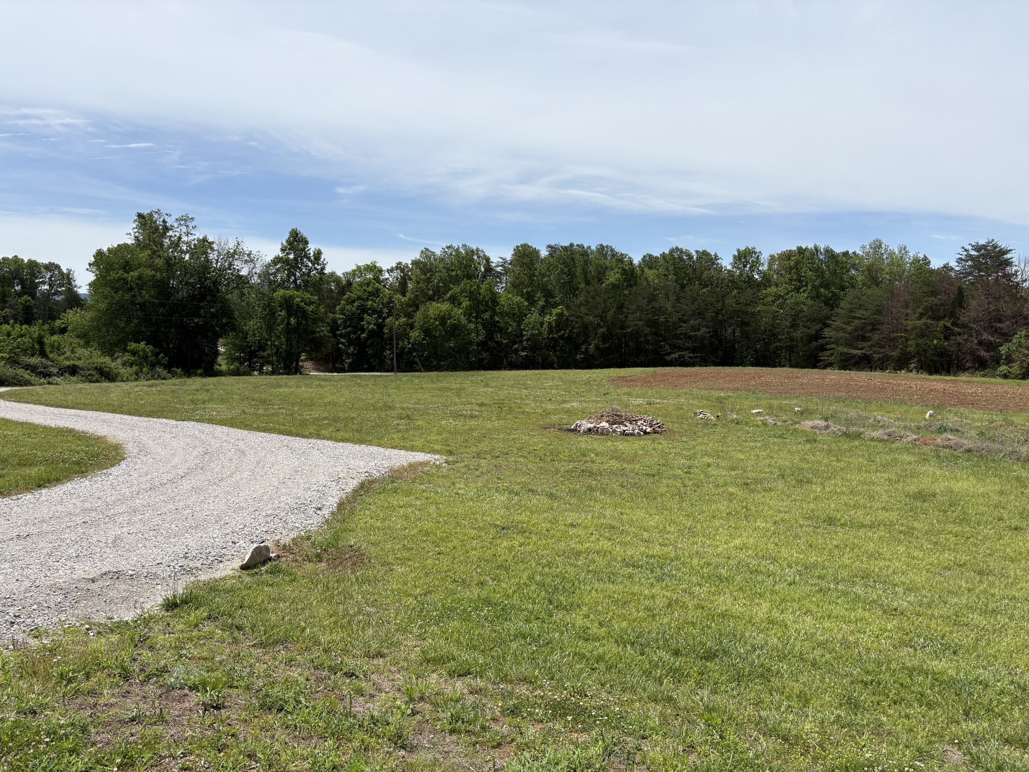 1102 Ranchside Drive Rock Island, TN 38581 - Photo 8 of 27 a view of a big yard with a large trees