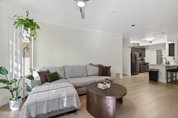 a living room with furniture and a potted plant