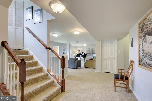 a view of a park with large trees