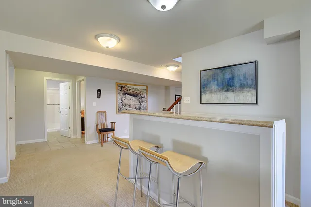 a view of a park with large trees