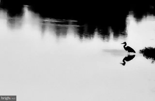 $739,900 | 15517 Glastonbury Way, Upper Marlboro, MD 20774