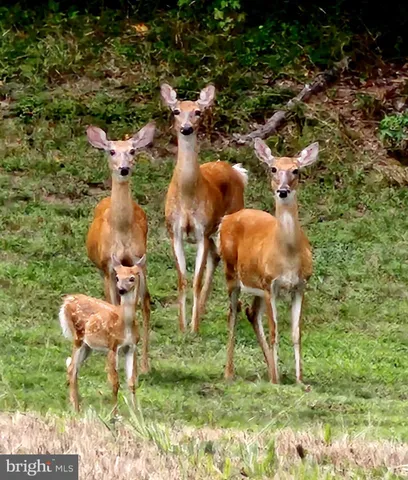 $739,900 | 15517 Glastonbury Way, Upper Marlboro, MD 20774