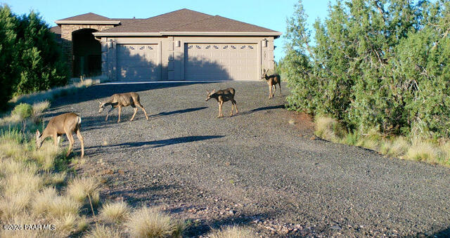 7051 Dillon Wash Road Prescott, AZ 86305 - Photo 6 of 31 a front view of a house with garden