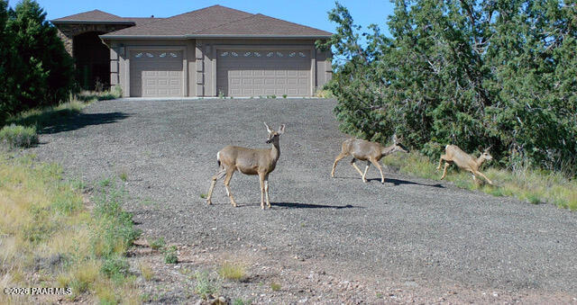 7051 Dillon Wash Road Prescott, AZ 86305 - Photo 7 of 31 a front view of a house with garden