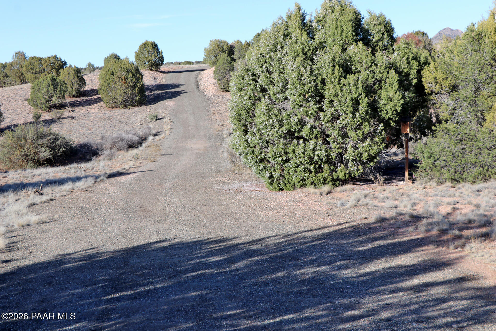 7051 Dillon Wash Road Prescott, AZ 86305 - Photo 10 of 31 a view of a backyard of the house
