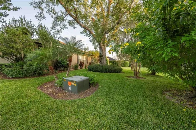a view of a garden with large trees