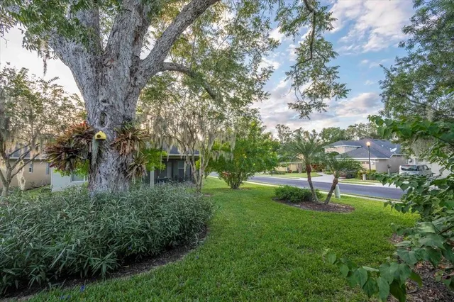 a green field with lots of trees