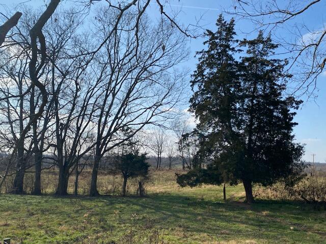 120271 Walnut Grove Road, Unit TRACT # 1 Carlisle, KY 40311 - Photo 21 of 39 21