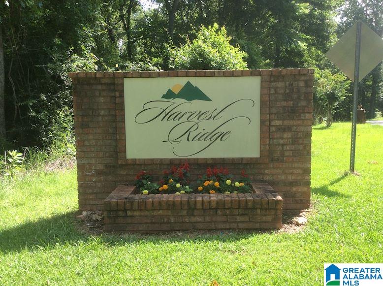 132 Chestnut Drive Alabaster, AL 35007 - Photo 47 of 49