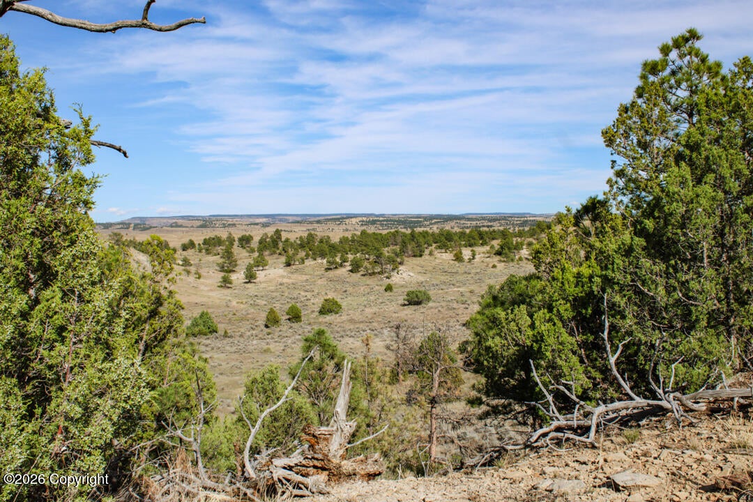 0 Skull Creek Road Osage, WY 82723 - Photo 43 of 51 Gallery Image 43