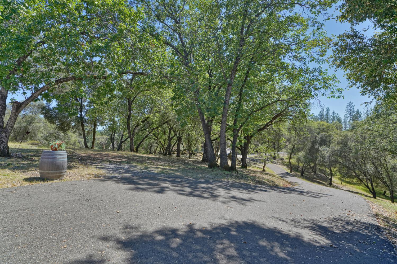2469 Secret Ravine Trail Cool, CA 95614 - Photo 52 of 80
