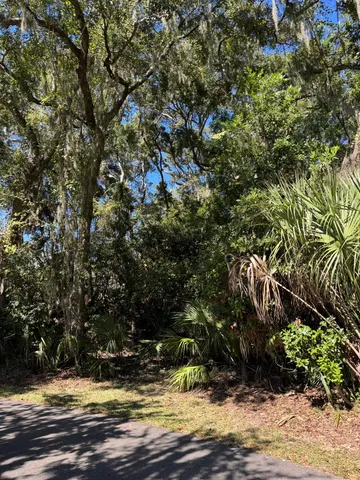 $230,000 | 0 King Cotton Road, Edisto Island, SC 29438