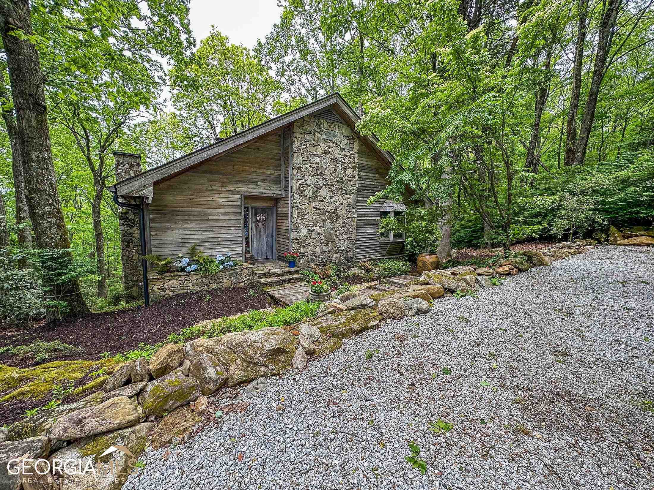a view of a backyard with large trees and plants