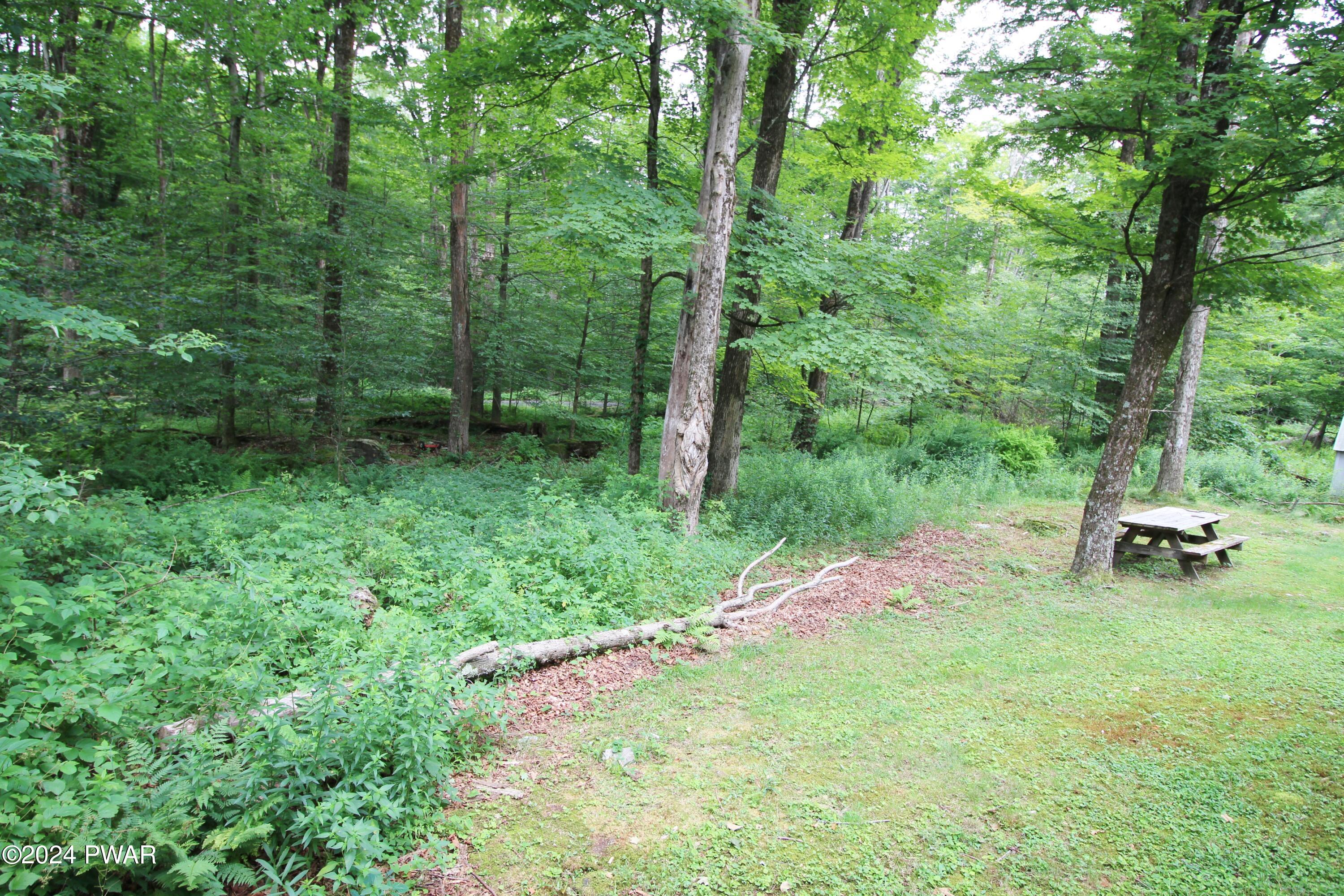 10 Madison Estate Moscow, PA 18444 - Photo 7 of 45 a view of a backyard with a bench