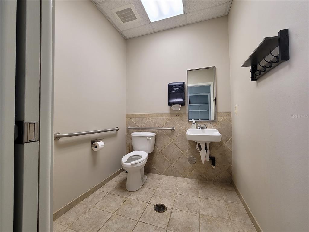 37302 Pure Water Way Zephyrhills, FL 33541 - Photo 9 of 9 a bathroom with a toilet a sink and mirror