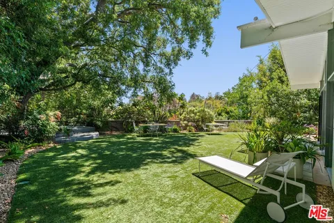 a view of a backyard with plants and a garden