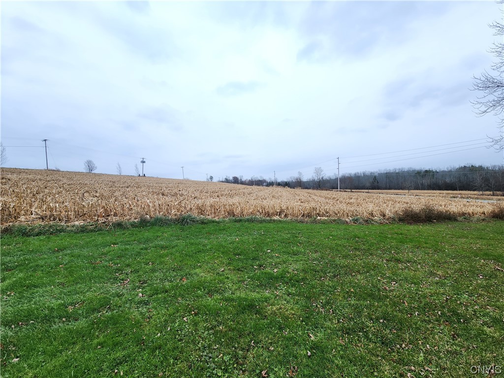 625 Franklin Road Skaneateles, NY 13152 - Photo 7 of 18 Acreage is all crop farmed