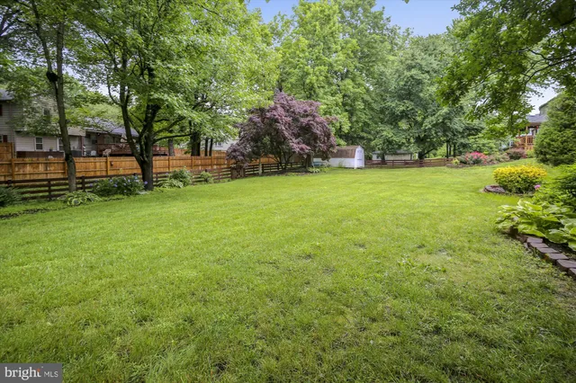 a view of a field with trees