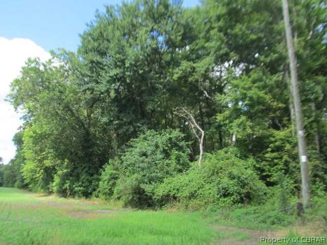 0 Warner Hall Road Gloucester, VA 23061 - Photo 9 of 34