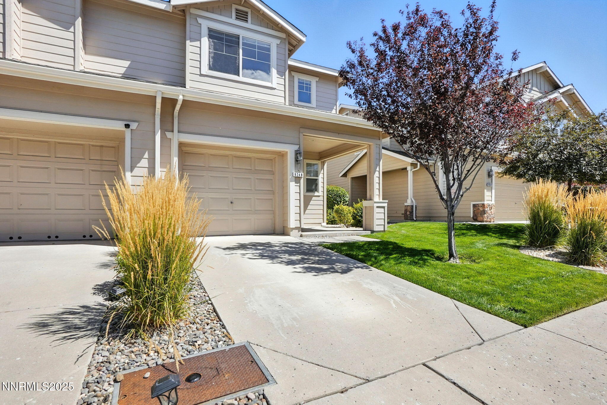 a view of a house with a small yard and a large tree