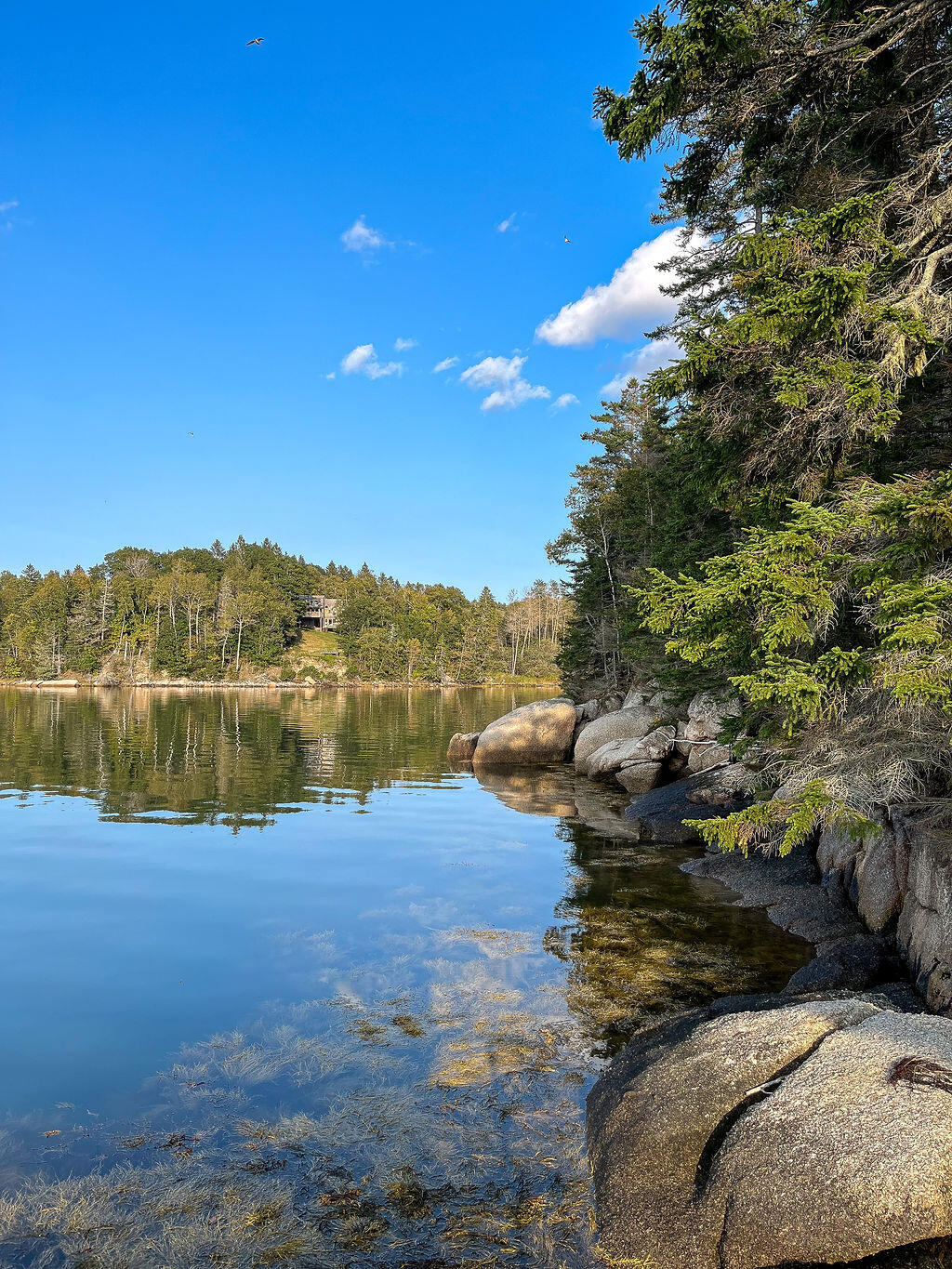 93 Eaton Point Road Deer Isle, ME 04627 - Photo 45 of 65 93 Eaton Point Road, Deer Isle, Maine