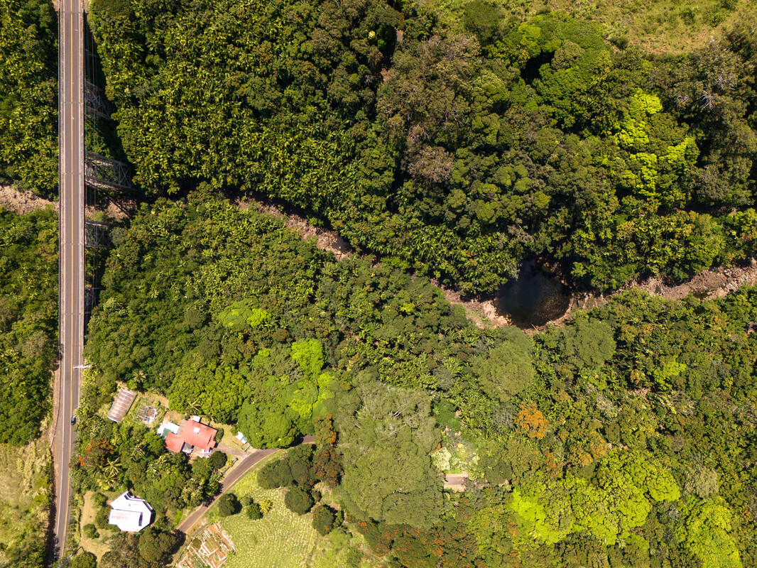32-830 Old Mamalahoa Highway Ninole, HI 96773 - Photo 14 of 23 a plant view