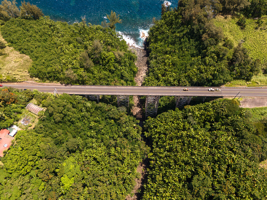 32-830 Old Mamalahoa Highway Ninole, HI 96773 - Photo 15 of 23 a view of a yard with wooden fence