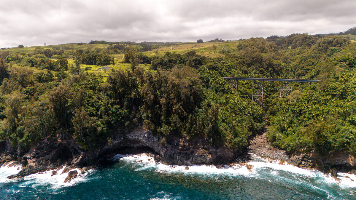 32-830 Old Mamalahoa Highway Ninole, HI 96773 - Photo 22 of 23 a view of a yard
