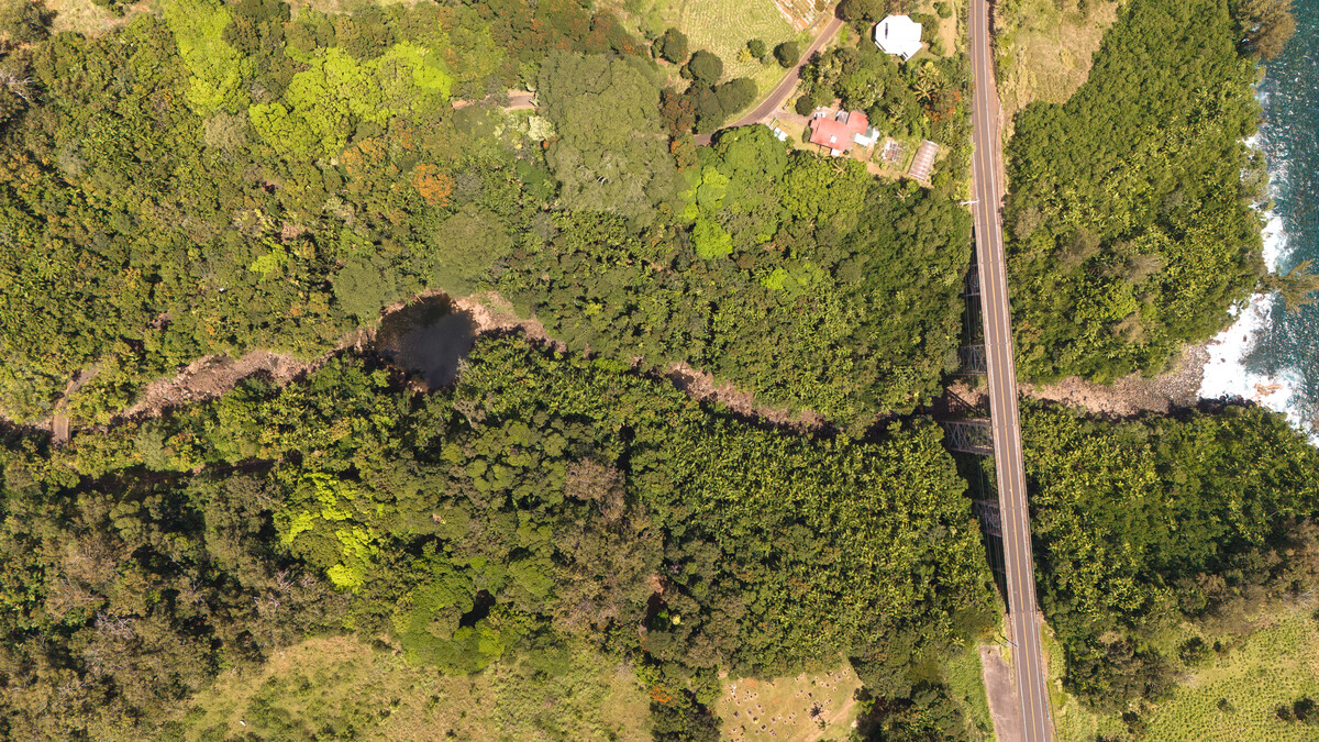 32-830 Old Mamalahoa Highway Ninole, HI 96773 - Photo 7 of 23 a view of a tree with a tree