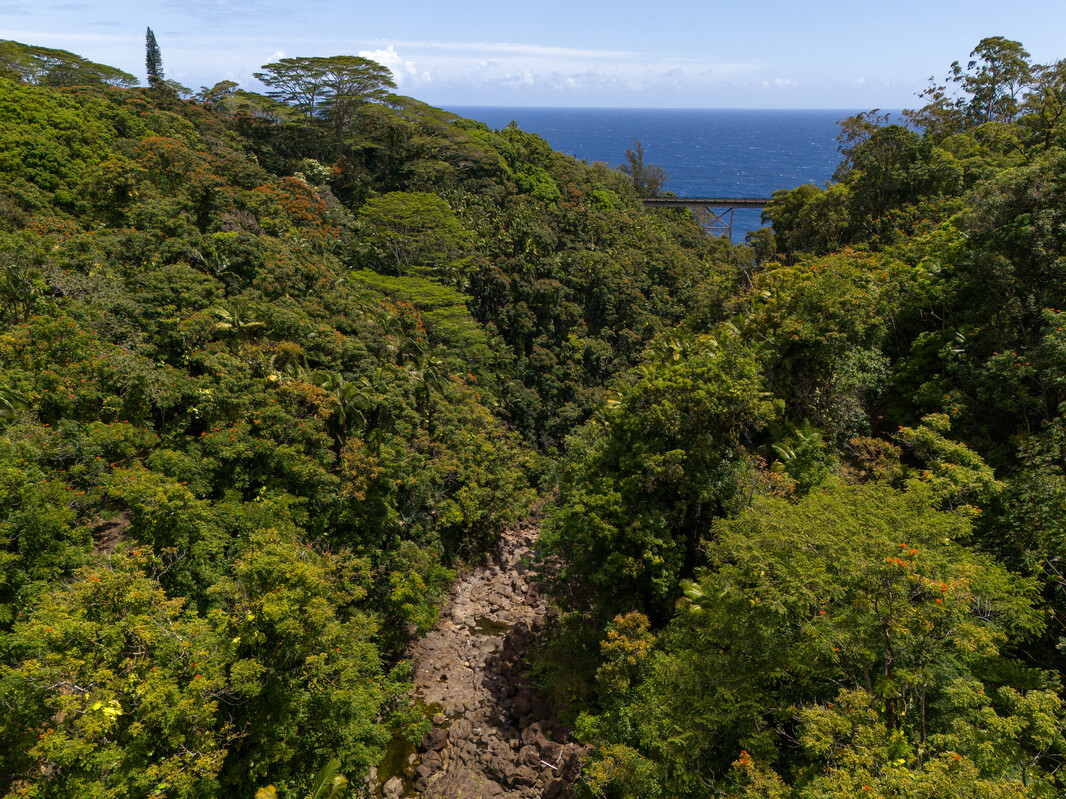 32-830 Old Mamalahoa Highway Ninole, HI 96773 - Photo 8 of 23 an aerial view of a houses with a lush green forest