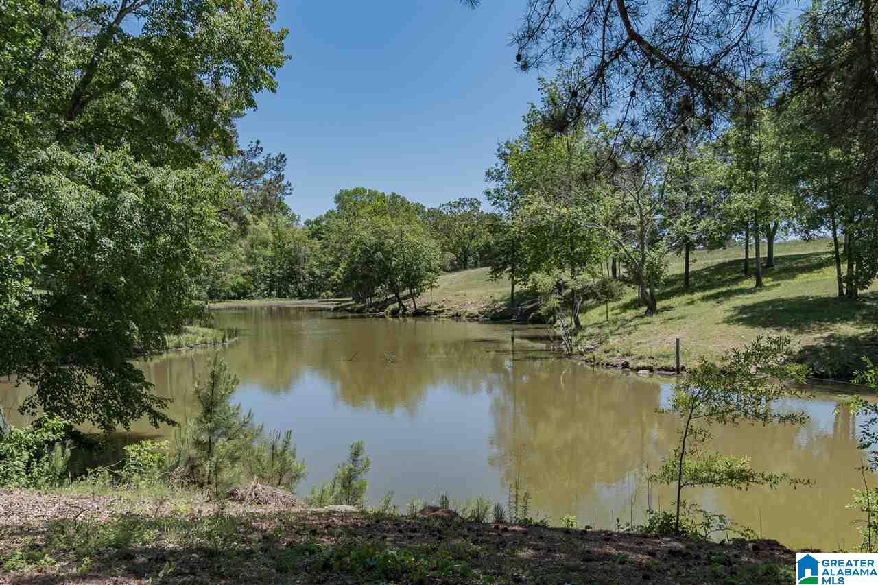 3684 Pine Mountain Road Remlap, AL 35133 - Photo 34 of 40