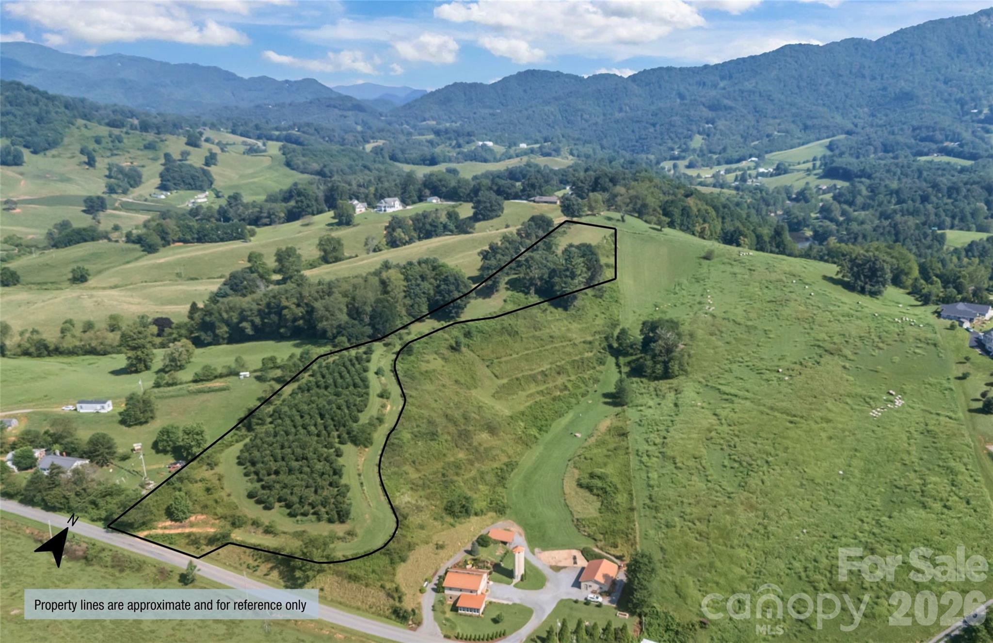 0 Buck Ridge Road Waynesville, NC 28785 - Photo 1 of 18 Gallery Image 1